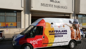 Pandemi sokak hayvanlarını nasıl etkiledi?