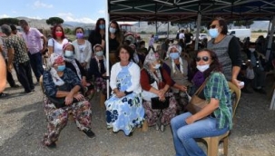 Büyükşehir hayvancılığa desteğini sürdürüyor