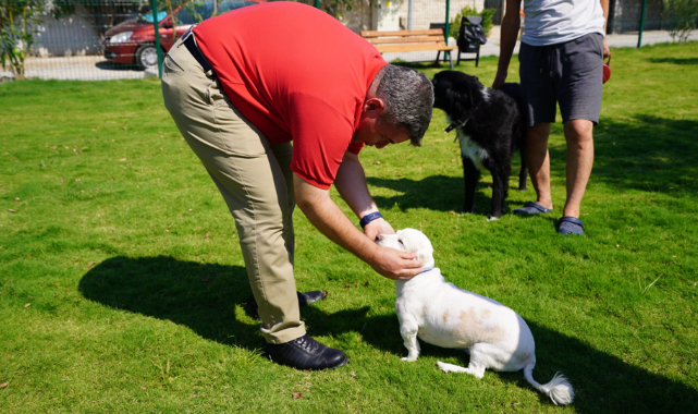 Çeşme'ye 5 'Pati Park' Müjdesi