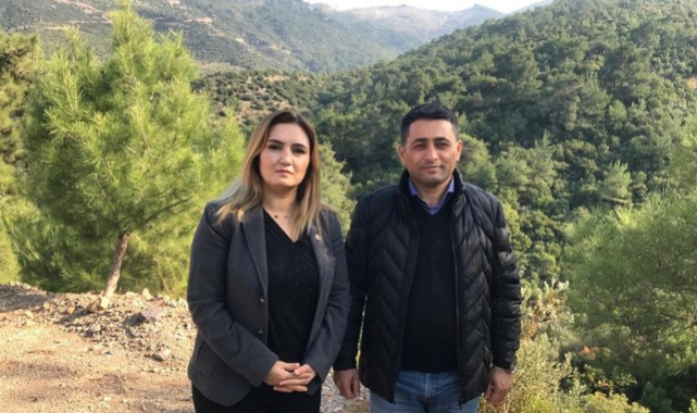 CHP İzmir Milletvekili Kılıç'tan "Ağaç Katliamı" Tepkisi