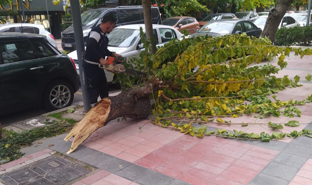 İzmir'den Fırtına Bilançosu
