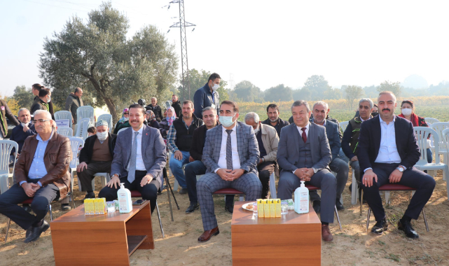 Torbalı'da Tatlı Patates Hasadı