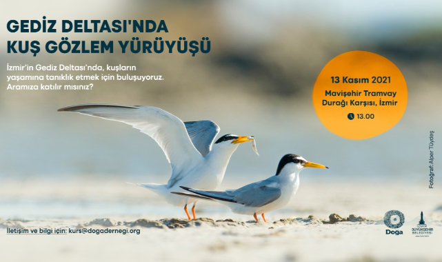 UNESCO Adayı Gediz Deltası'nda Kuş Gözlem Yürüyüşü