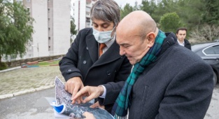 Başkan Soyer İstinat Duvarı Çöken Sitede İnceleme Yaptı