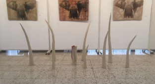 Bu Sergi Kaçmaz
