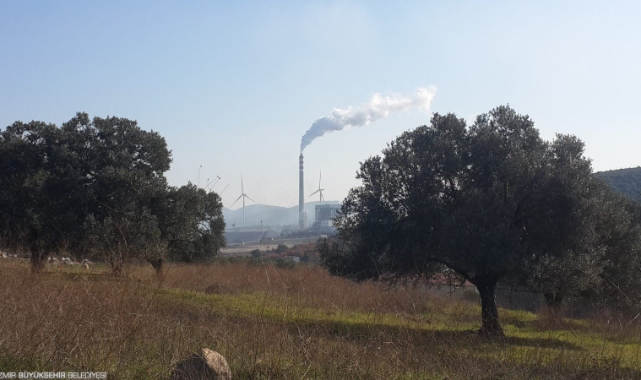 Zeytinliklerimizi Ranta Kurban Ettirmeyeceğiz