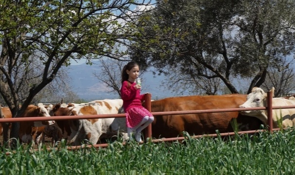 Pınar Süt, 2021'de Yüzde 32,2 Büyüyerek 2,7 Milyar TL Ciroya Ulaştı