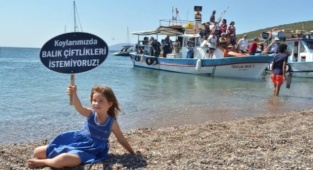 Sığacık Körfezi'nde Balık Çiftliği İçin Jet ÇED Süreci: Bir Günde "Halk Toplantısı" Kararı Verildi