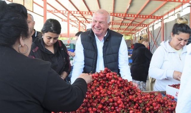 Kemalpaşa'da Kiraz Alım Merkezleri Denetleniyor