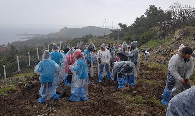 Foça'da Orman Haftası Kutlama ve Fidan Dikim Etkinliği