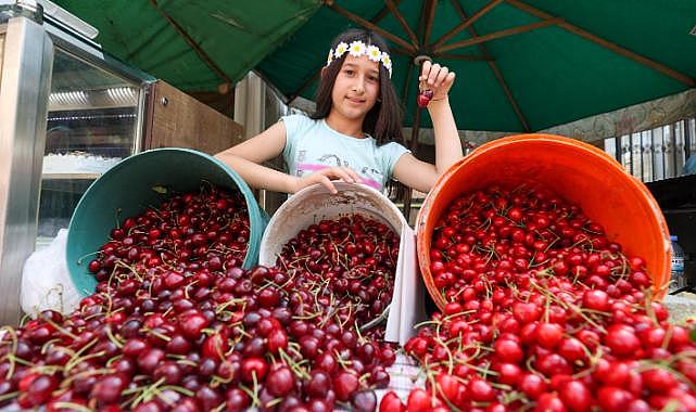 Buca'nın Kiraz Festivali'ne geri sayım başladı