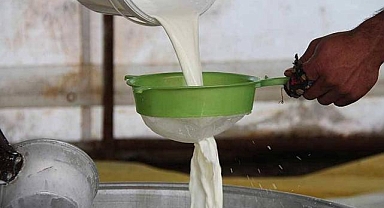 Çiğ süt üretiminde büyük düşüş