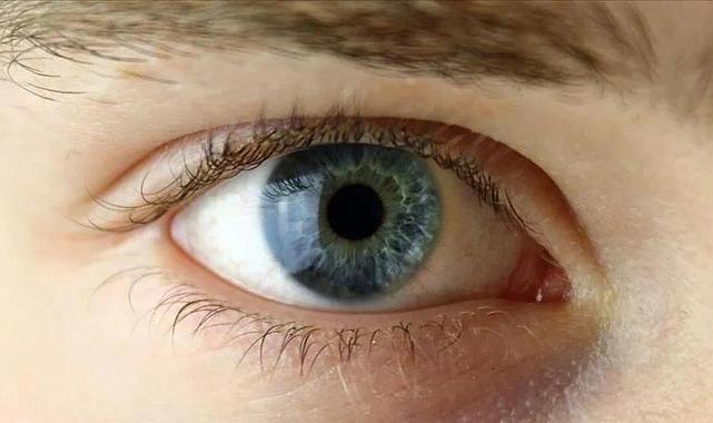 Yapay zeka göz ile beyin arasındaki şifreyi çözdü: Körlük tarihe karışacak