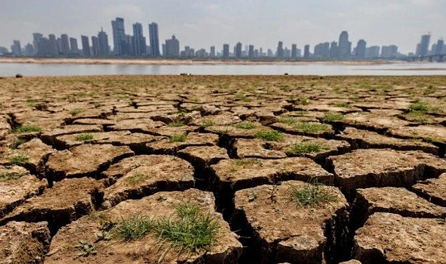 Avrupa'da İklim Değişikliği: 2022 Yılında Rekor Sıcaklıklar ve Olumsuz Etkiler