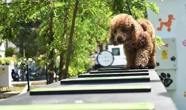 Kemalpaşa'da Can Dostlar İçin Pati Park