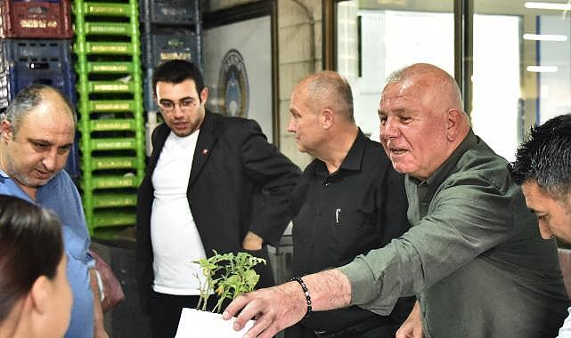 Kemalpaşa'da Fideler Toprakla Buluşuyor
