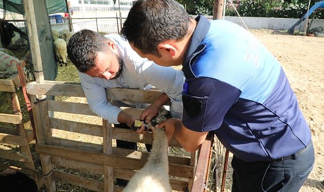 Menderes’te Kurban Denetimi
