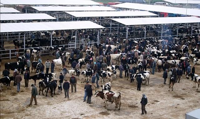 Ödemiş'te kurban satış ve kurban kesim yerleri belli oldu
