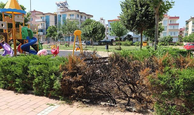 Parkta üzücü görüntüler: Şehir magandaları yine zarar verdi