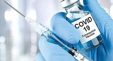Egeli araştırmacılar Covid-19 salgınını koyun ve keçiler üzerinden inceleyecek
