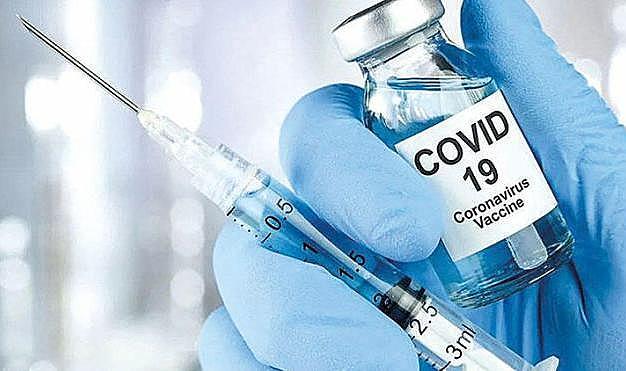 Egeli araştırmacılar Covid-19 salgınını koyun ve keçiler üzerinden inceleyecek
