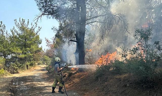 Çanakkale'deki yangına İzmir'den destek