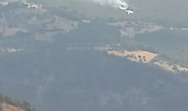 İzmir'de 2 orman yangını yaklaşık 30 dakikada kontrol altına alındı