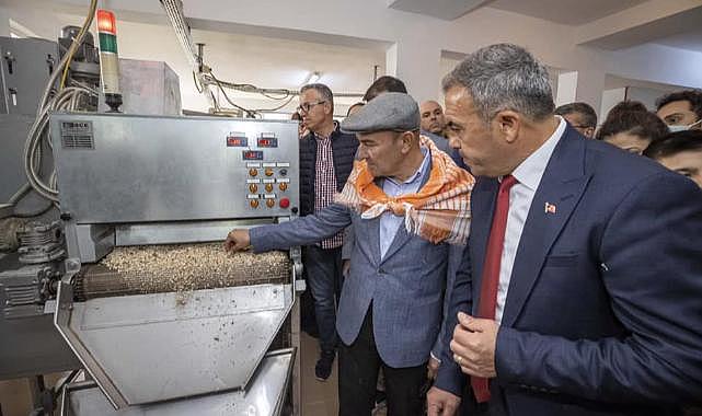 Beydağ'dan yükselen kestane unu çölyak hastalarına derman oluyor