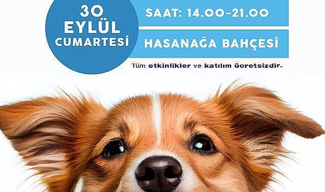 hayvanseverler Buca'da buluşacak