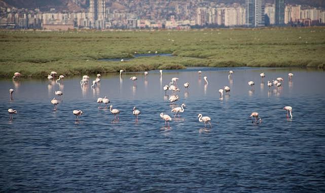 İzmir, Gediz Deltası projesiyle Ufuk Avrupa Programı’nı kazandı