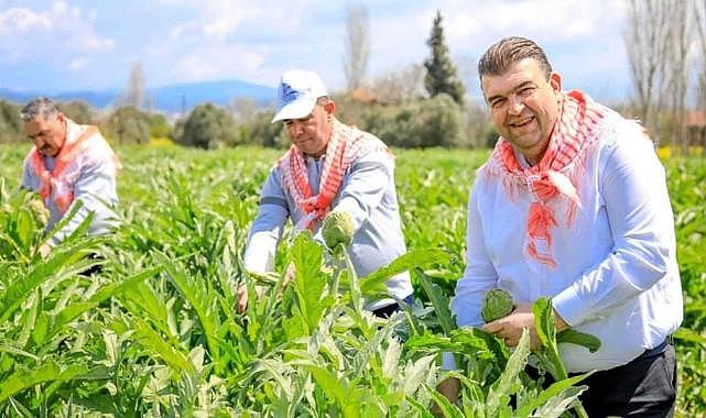 Mandalina, zeytin, enginar, lavanta, karakılçık buğdayı... Seferihisar'ın yüzü tarımla gülüyor