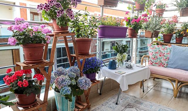 21. En Güzel Balkon Bahçe Yarışması’na başvurular başladı