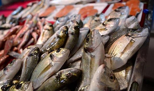 Balık sezonu açıldı: İzmir'de balık fiyatları ne kadar?