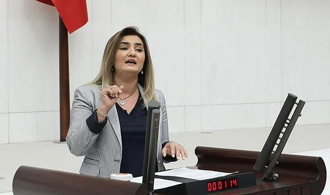 CHP İzmir Milletvekili Kılıç'tan yeni Anayasa çıkışı
