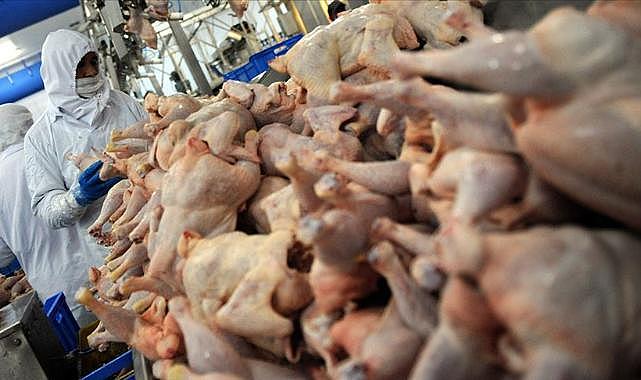 Rusya’dan beyaz et ihracatına yasak planı