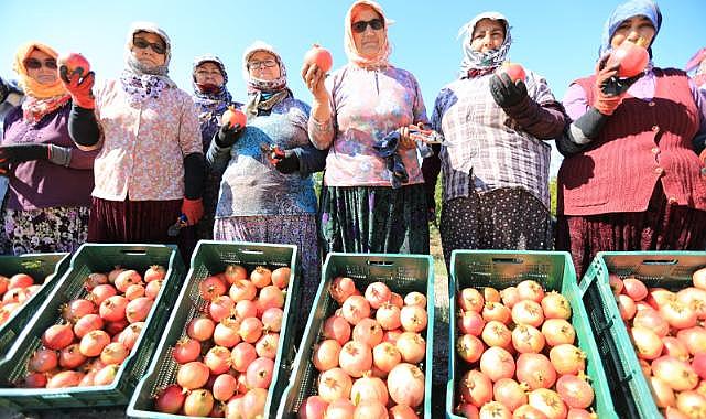 Üreticiye destek sürüyor: 'Nar Neşesi Şen Tanesi Şenliği' bu pazar Zeytinköy'de