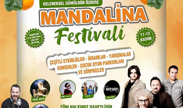 Mandalina festivali için geri Sayım başladı