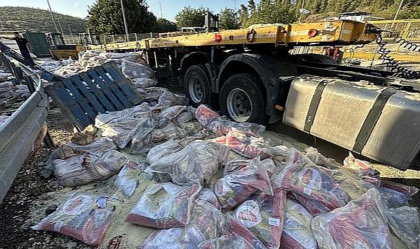 Yahudi yerleşimciler Gazze'ye giden yardımları engelleyip yola döktü