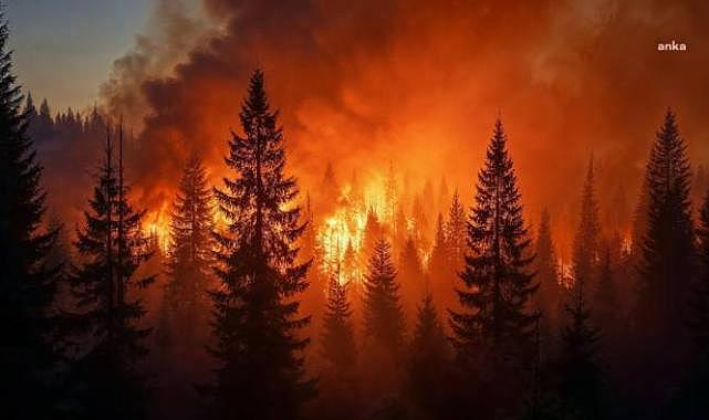 ABD'de dev yangın: 30 bin kişiye tahliye emri verildi
