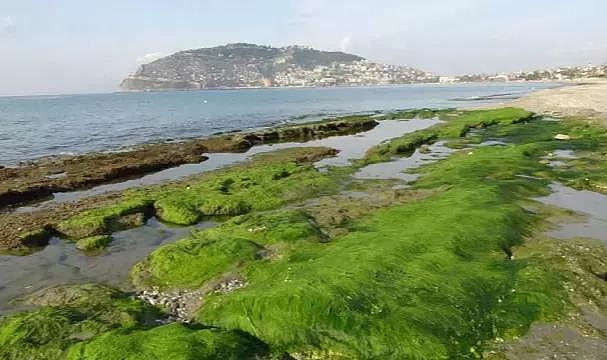 Deniz Suyunun Çekilmesi Ege'deki Depremleri Hatırlattı