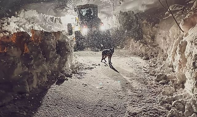 Kar kalınlığının 6 metreyi bulduğu Artvin'de okullar 1 haftadır tatil