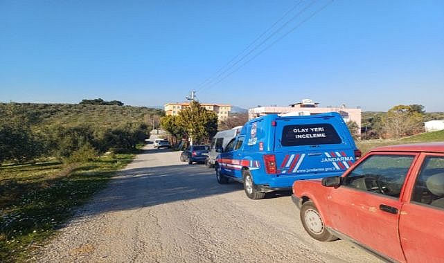 İzmir'de uyuşturucu madde operasyonu: 102 kök kenevir ele geçirildi