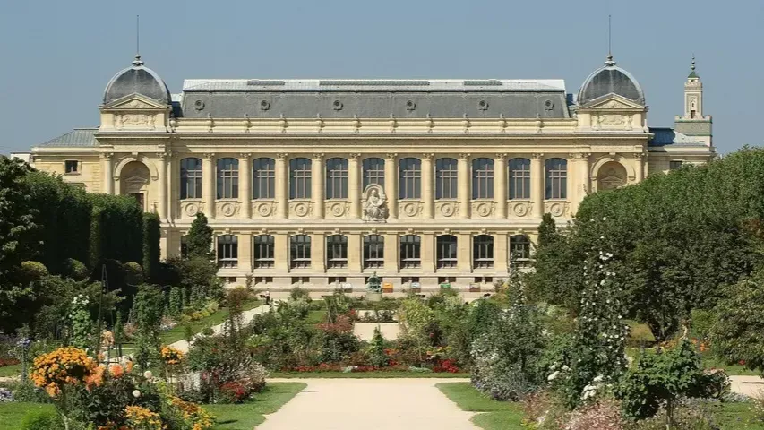 Paris’te ünlü müzeden 700 bin dolarlık altın çalındı