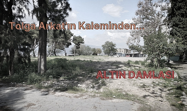 ''Altın Damlası''
