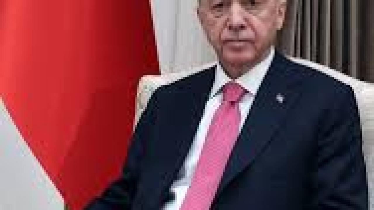 Otomatik Taslak