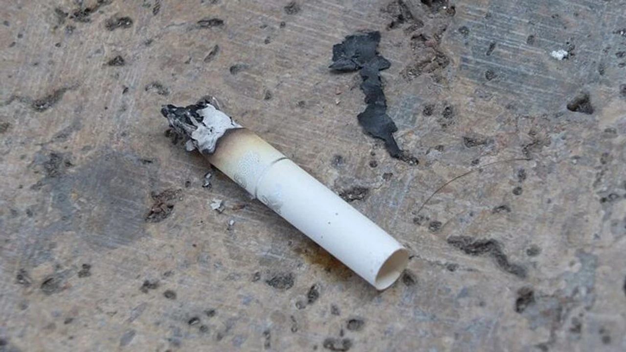 Otomatik Taslak