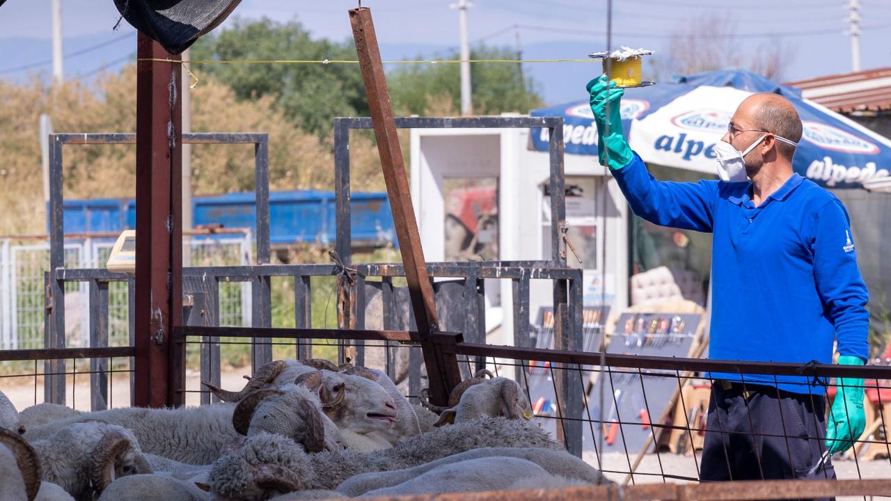 İzmir Büyükşehir Belediyesi 'Kurban' Öncesi Önlem Aldı