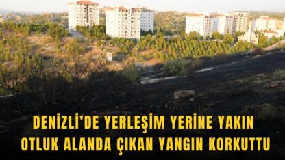 Denizli’de Yerleşim Yerlerini Tehdit Eden Otluk Yangını Korkuttu