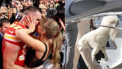 İşte Taylor Swift Ve Travis Kelce'nin Sır Gibi Sakladığı Köpeği!