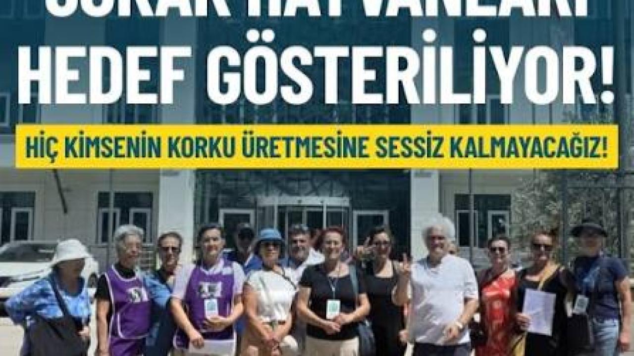 Sokak hayvanları gerilimi yargıya taşındı: GÜSODER hakkında suç duyurusu